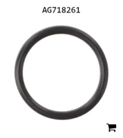 AGCO AG718261 Уплотнительное кольцо