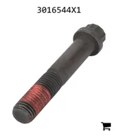 AGCO 3016544X1 Винт с 12-гранной головкой с фланцем