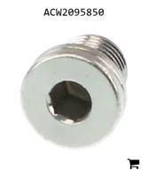 AGCO ACW2095850 Винт-заглушка