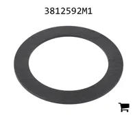 AGCO 3812592M1 Шайба