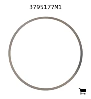 AGCO 3795177M1 Шайба