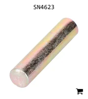 AGCO SN4623 Направляющий палец