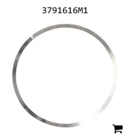 AGCO 3791616M1 Регулировочная шайба