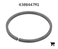 AGCO 4308447M1 Сегмент