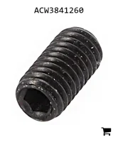 AGCO ACW3841260 Установочный винт с шестигранной головкой