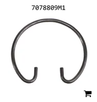 AGCO 7078809M1 Стопорное кольцо