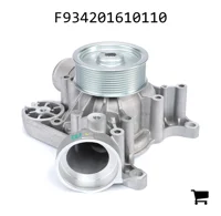 AGCO F934201610110 Водяной насос с шкивом