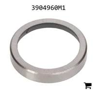 AGCO 3904960M1 Вставка