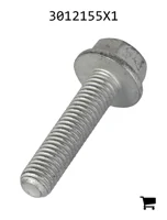 AGCO 3012155X1 Болт с шестигранной головкой и фланцем