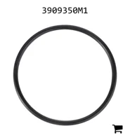 AGCO 3909350M1 Уплотнительное кольцо