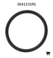 AGCO 3641231M1 Уплотнительное кольцо