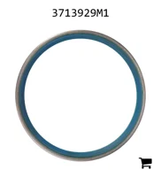 AGCO 3713929M1 Прокладка переднего моста