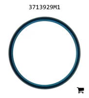 AGCO 3713929M1 Прокладка переднего моста