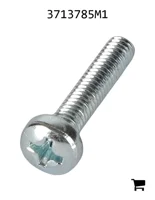 AGCO 3713785M1 Винт