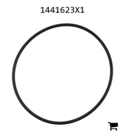 AGCO 1441623X1 Уплотнительное кольцо