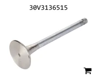 AGCO 30V3136515 Клапан