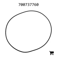 AGCO 700737760 Уплотнительное кольцо