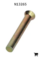 AGCO N13265 Заклепка