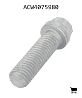 AGCO ACW4075980 Винт с шестигранной головкой и фланцем