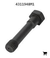 AGCO 4311948M1 Винт