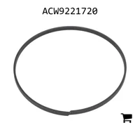 AGCO ACW9221720 Направляющее кольцо