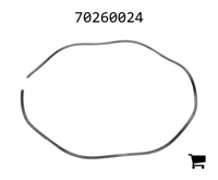 AGCO 70260024 Пружина