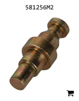 AGCO 581256M2 Кнопка