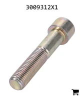 AGCO 3009312X1 Винт с цилиндрической головкой и шестигранным углублением