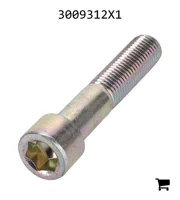 AGCO 3009312X1 Винт с цилиндрической головкой и шестигранным углублением
