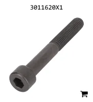 AGCO 3011620X1 Винт с внутренним шестигранником