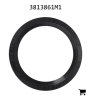 AGCO 3813861M1 Сальник трансмиссии
