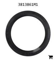 AGCO 3813861M1 Сальник трансмиссии