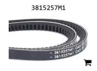 AGCO 3815257M1 Ремень клиновой, продается парой