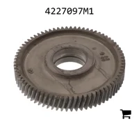 AGCO 4227097M1 Шестерня