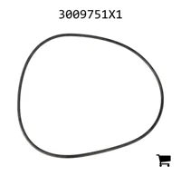 AGCO 3009751X1 Уплотнительное кольцо