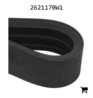 AGCO 2621170W1 Поликлиновый приводной ремень подающего механизма, 3-жильный, 217,9"