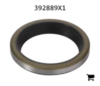 AGCO 392889X1 Уплотнительное кольцо скребка
