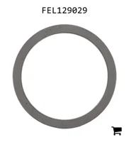 AGCO FEL129029 Регулировочная шайба