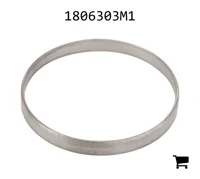 AGCO 1806303M1 Втулка