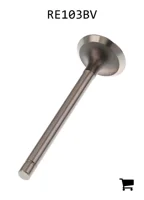 AGCO RE103BV Выпускной клапан