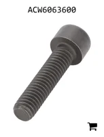 AGCO ACW6063600 Винт с цилиндрической головкой и шестигранным углублением