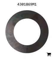 AGCO 4301869M1 Шайба