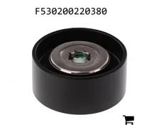 AGCO F530200220380 Натяжной ролик