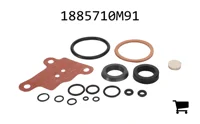 AGCO 1885710M91 Комплект