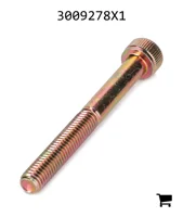 AGCO 3009278X1 Винт с цилиндрической головкой и шестигранным углублением