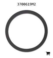 AGCO 3700619M2 Сальник входного вала
