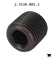 AGCO 2.3130.001.1 Заглушка