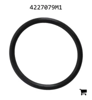 AGCO 4227079M1 Уплотнительное кольцо