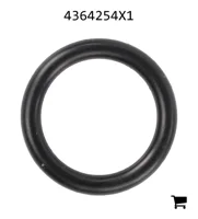 AGCO 4364254X1 Уплотнительное кольцо