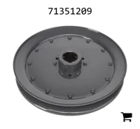 AGCO 71351209 Шкив привода промежуточного вала, 9,5"